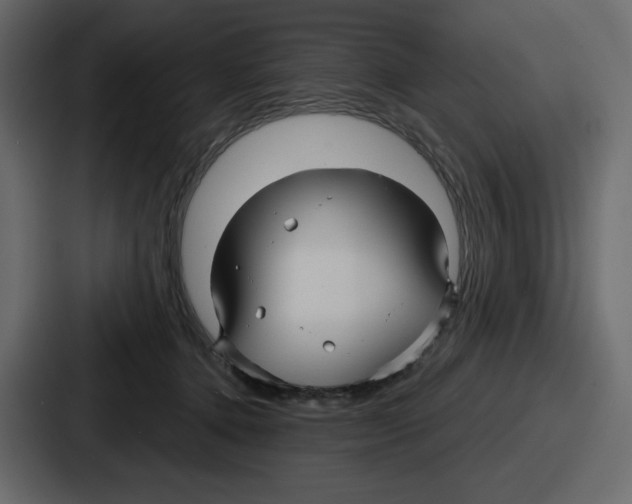 X0000086780368200705111800