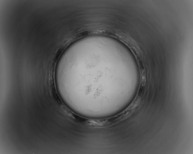 X0000086780369200705111800