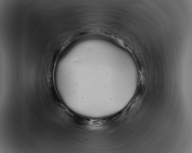 X0000086780371200705111800