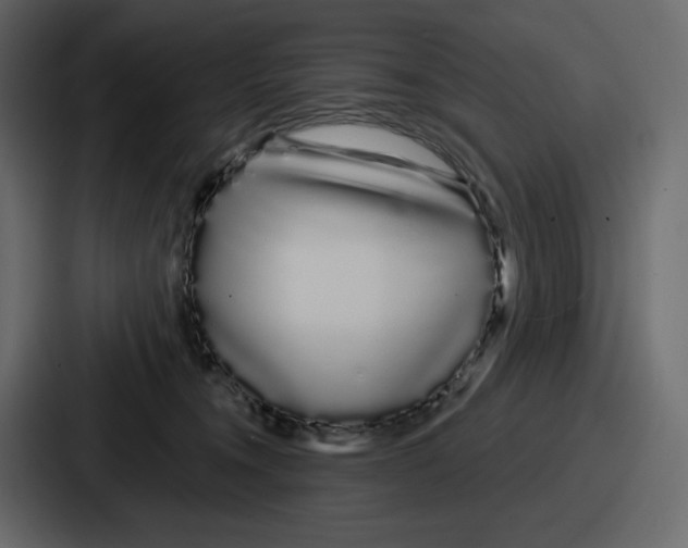 X0000086780372200705111800