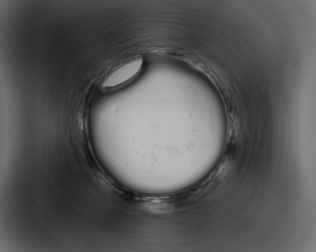 X0000086780373200705111800