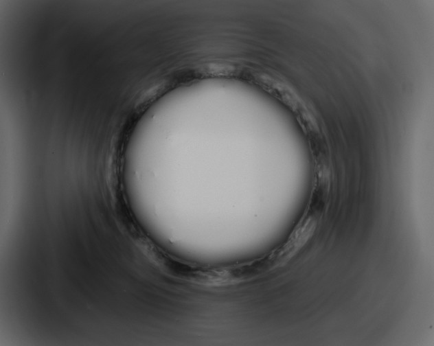 X0000086780374200705111800