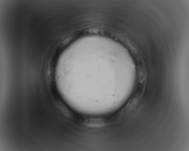 X0000086780375200705111800