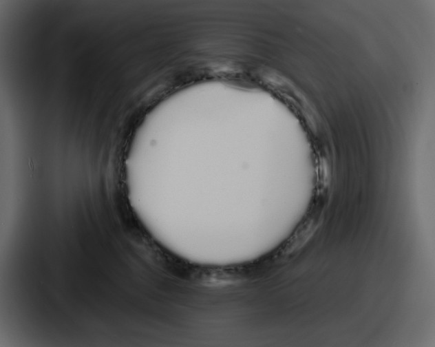 X0000086780376200705111800