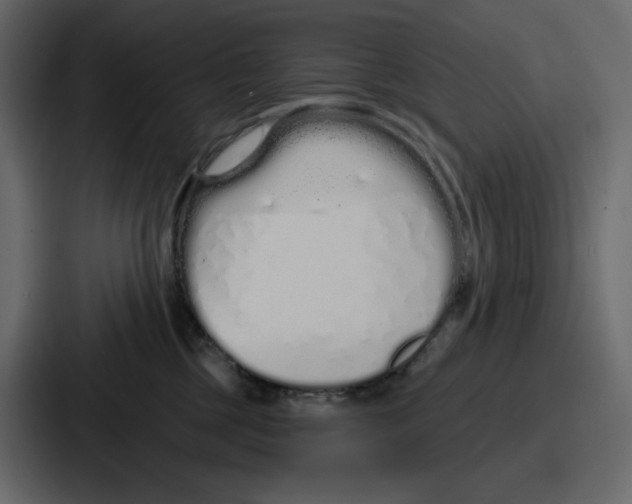 X0000086780377200705111800