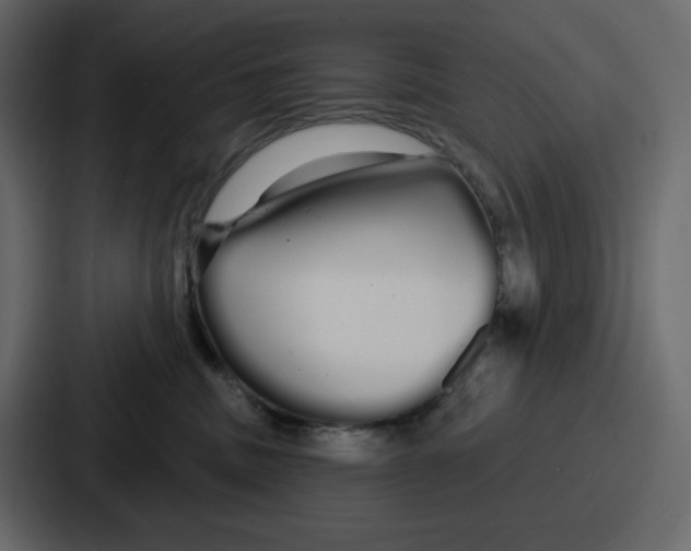 X0000086780379200705111800