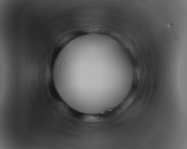 X0000086780380200705111800