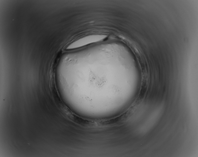 X0000086780381200705111800