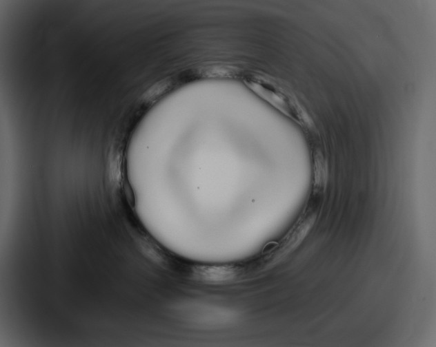 X0000086780383200705111800