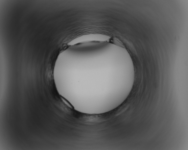 X0000086780384200705111800