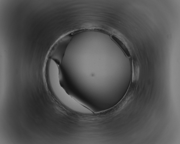 X0000086780387200705111759