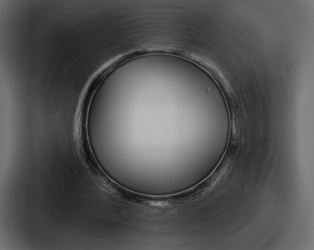 X0000086780388200705111759