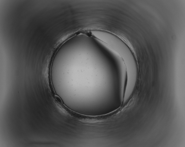 X0000086780389200705111759