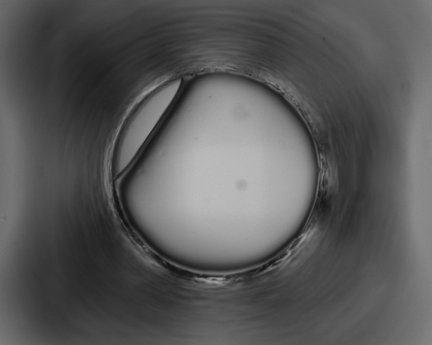 X0000086780390200705111759