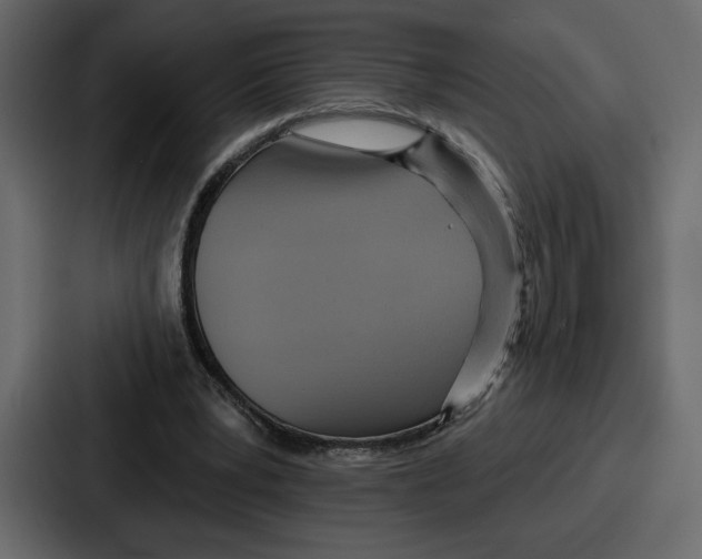 X0000086780391200705111759