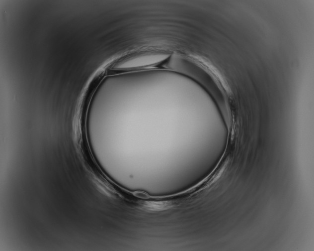 X0000086780392200705111759