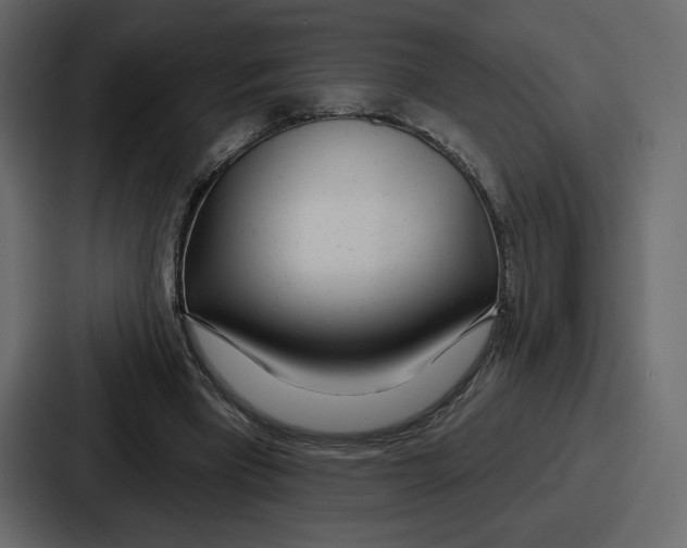 X0000086780393200705111759