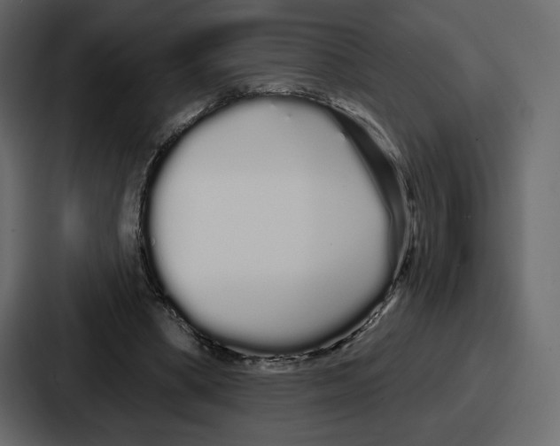 X0000086780394200705111759