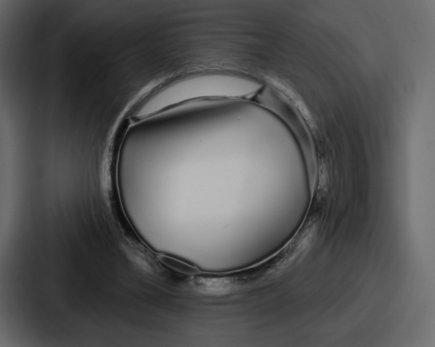 X0000086780395200705111759