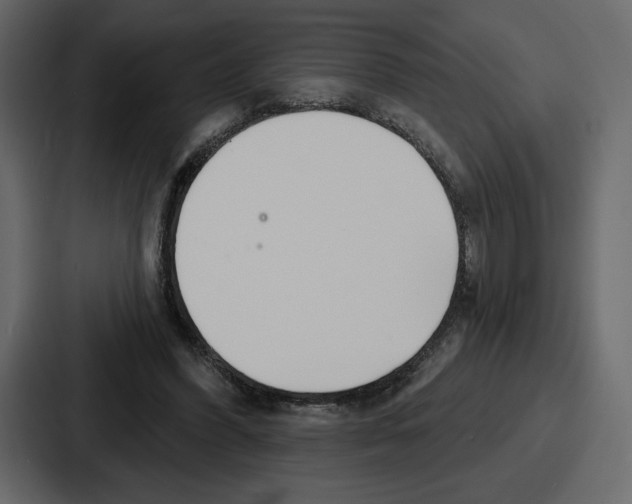 X0000086780396200705111759