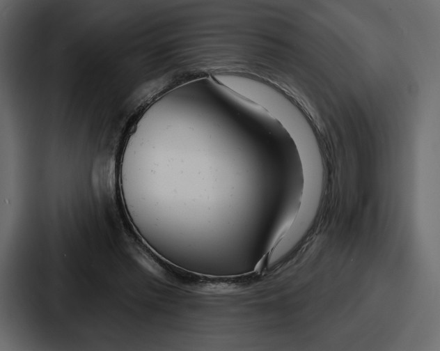 X0000086780397200705111759