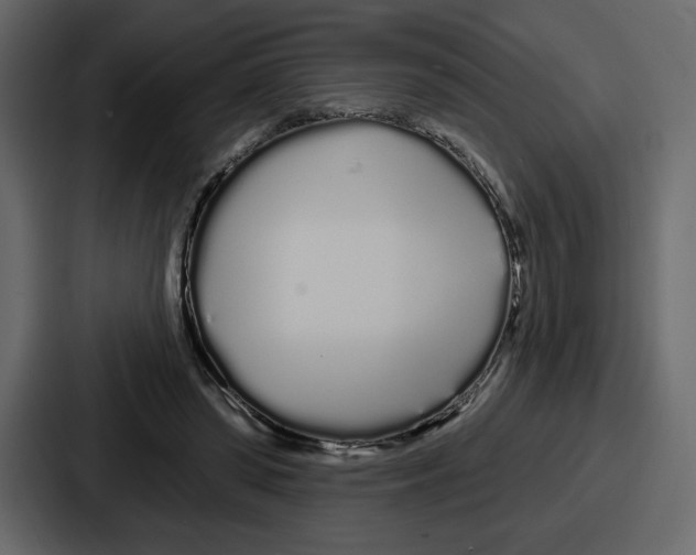 X0000086780398200705111759