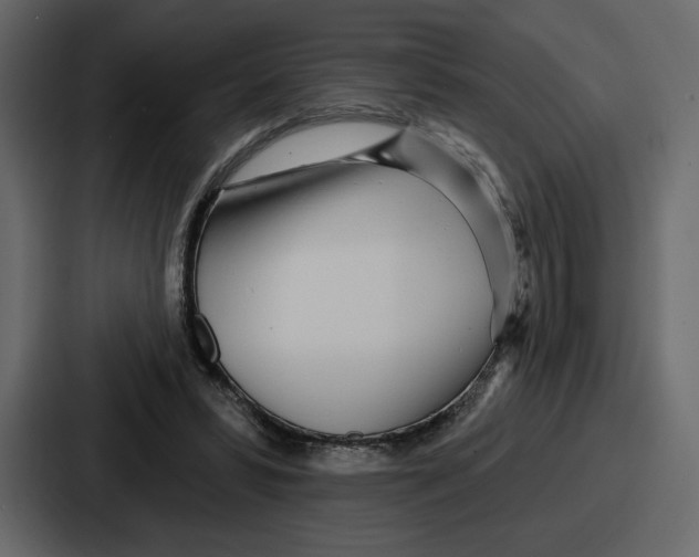 X0000086780399200705111759