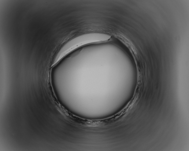 X0000086780401200705111759