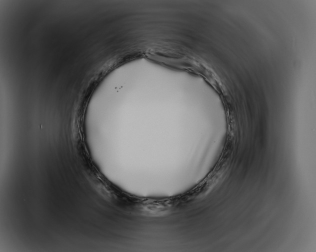 X0000086780402200705111759