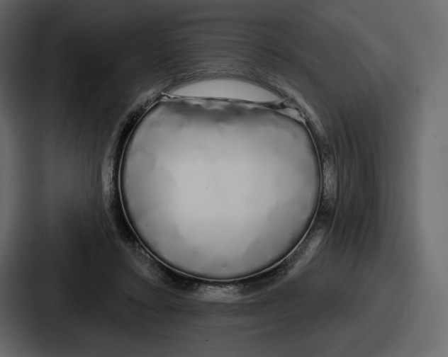 X0000086780403200705111759