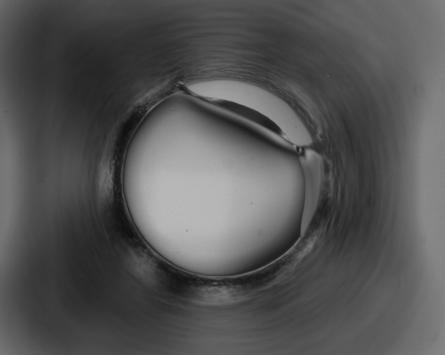 X0000086780404200705111759