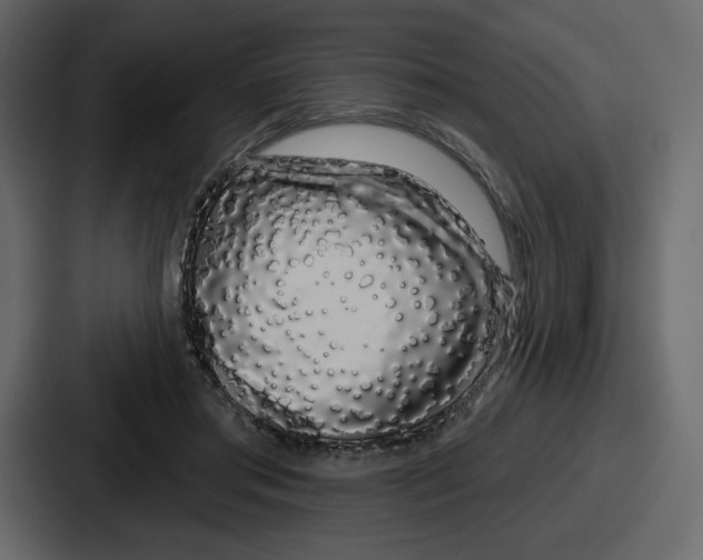 X0000086780405200705111759