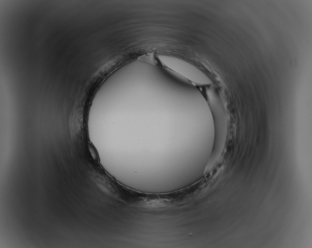 X0000086780407200705111759