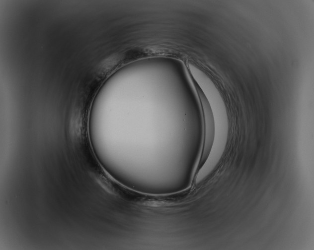 X0000086780408200705111759