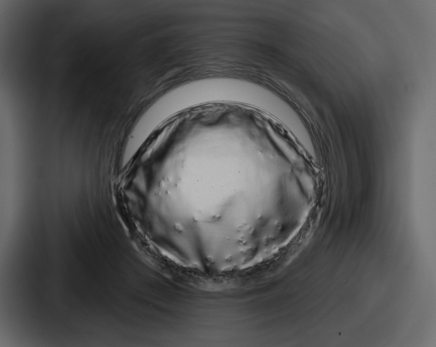 X0000086780409200705111759