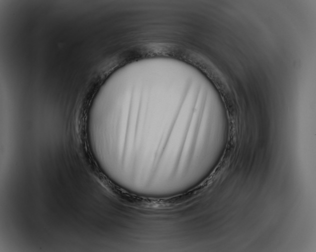 X0000086780410200705111759