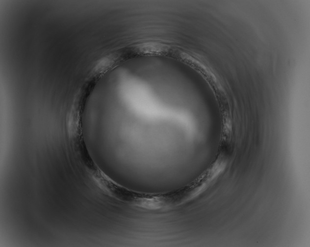 X0000086780411200705111759