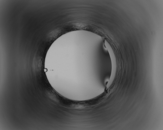 X0000086780412200705111759