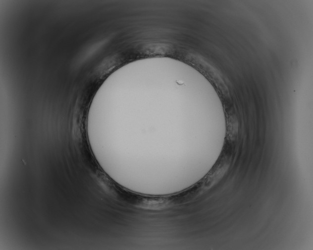 X0000086780414200705111759