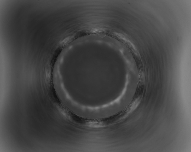 X0000086780415200705111759