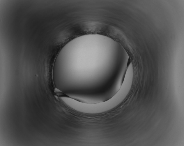 X0000086780416200705111759