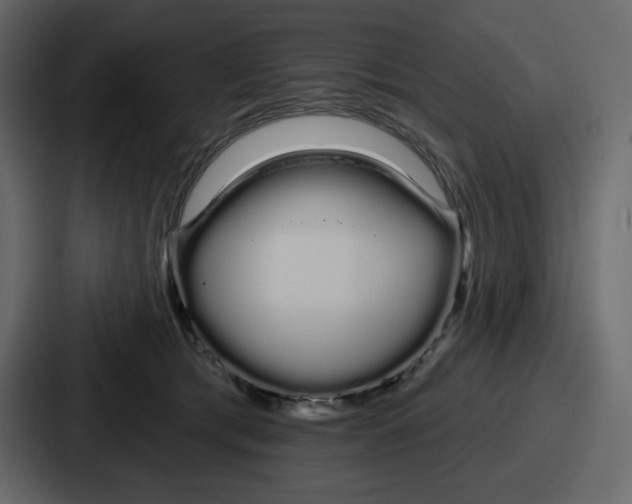 X0000086780417200705111759