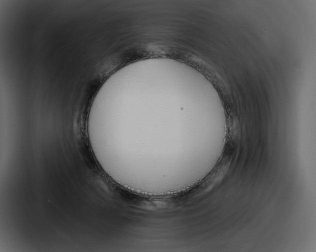 X0000086780418200705111759