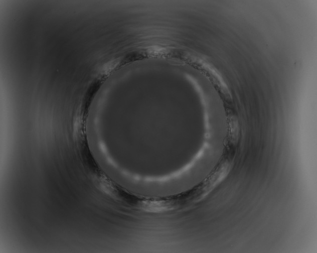 X0000086780419200705111759