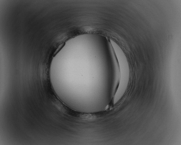 X0000086780421200705111759