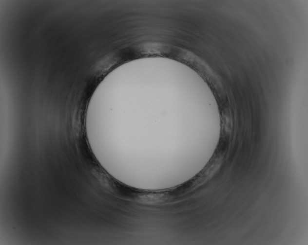 X0000086780422200705111759