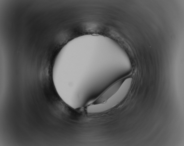 X0000086780424200705111759