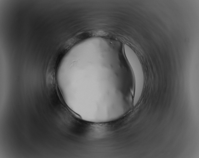 X0000086780425200705111759