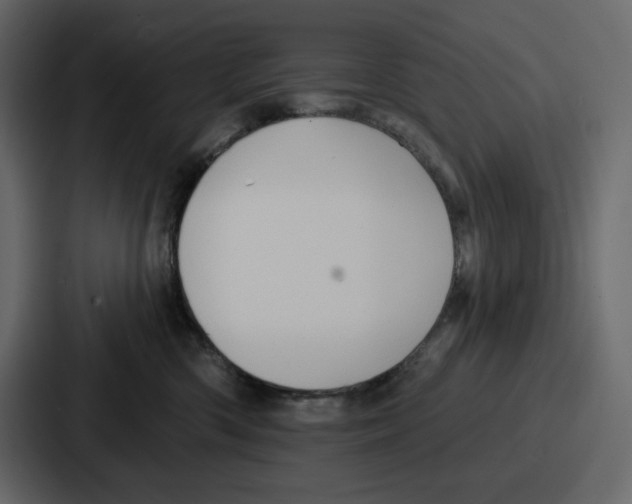 X0000086780426200705111759