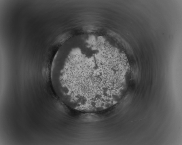 X0000086780427200705111759